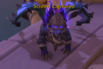 3x Gladiator Mounts | Galactic, Draconic, Prized | 9x Elite PvP Sets | 8x PvP Illusions | Sargerei Hellforged Regalia | Rare Mounts & Transmog - Image 1