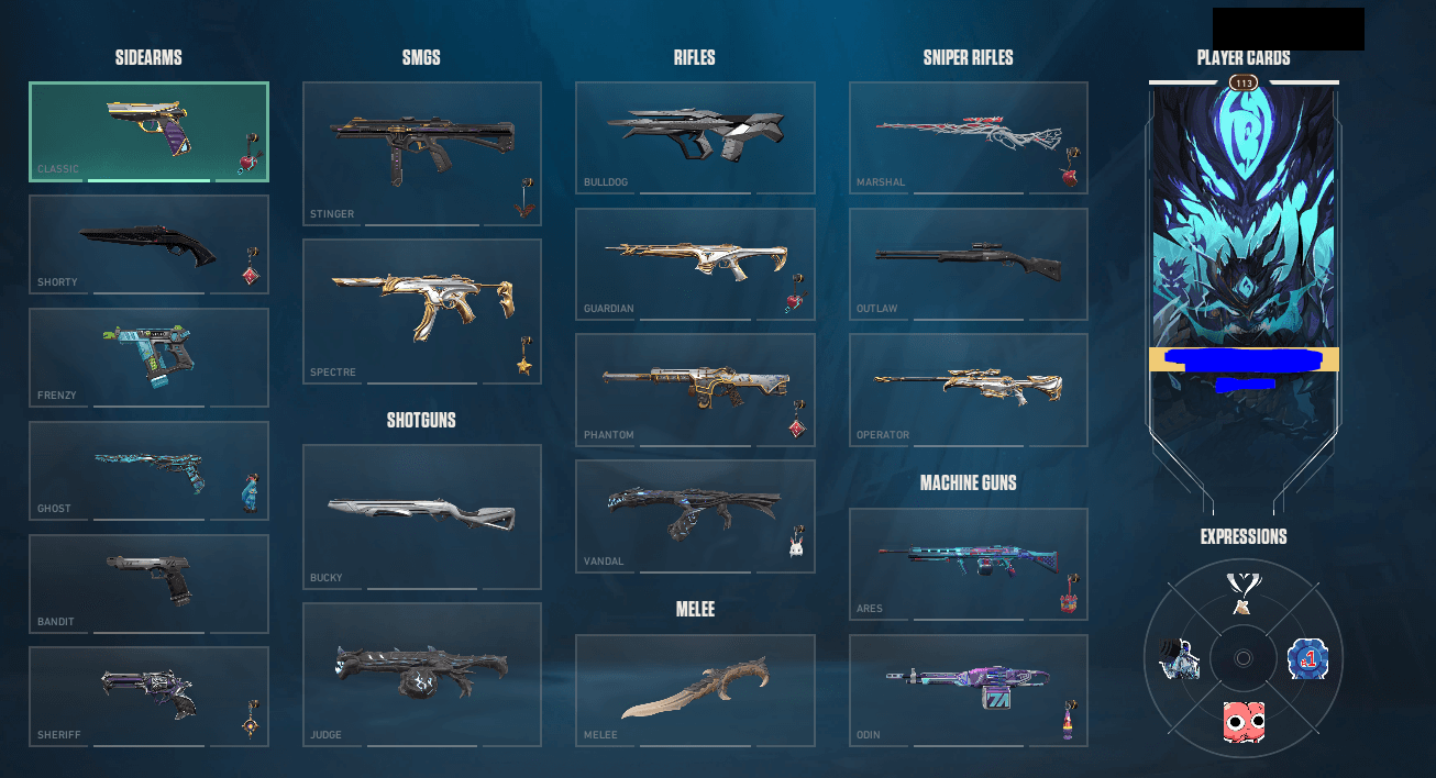 PC | Immortal Peak | Elderflame Dagger | Elderflame Vandal | 119 Skins | Full Email - Image 1