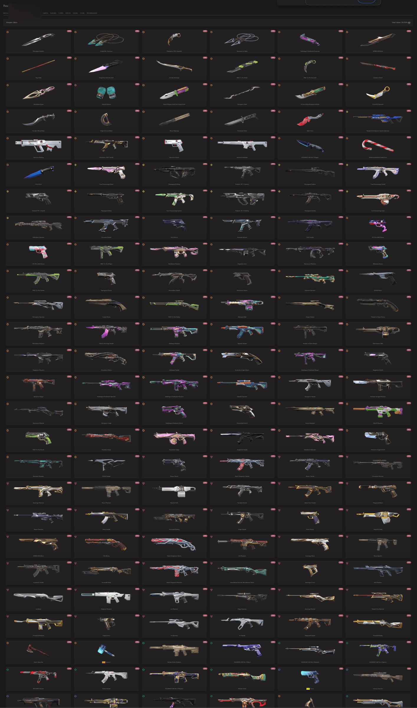 PC | Immortal Peak | Champions 2021 Karambit + Vandal | 22 Skins | Full Email