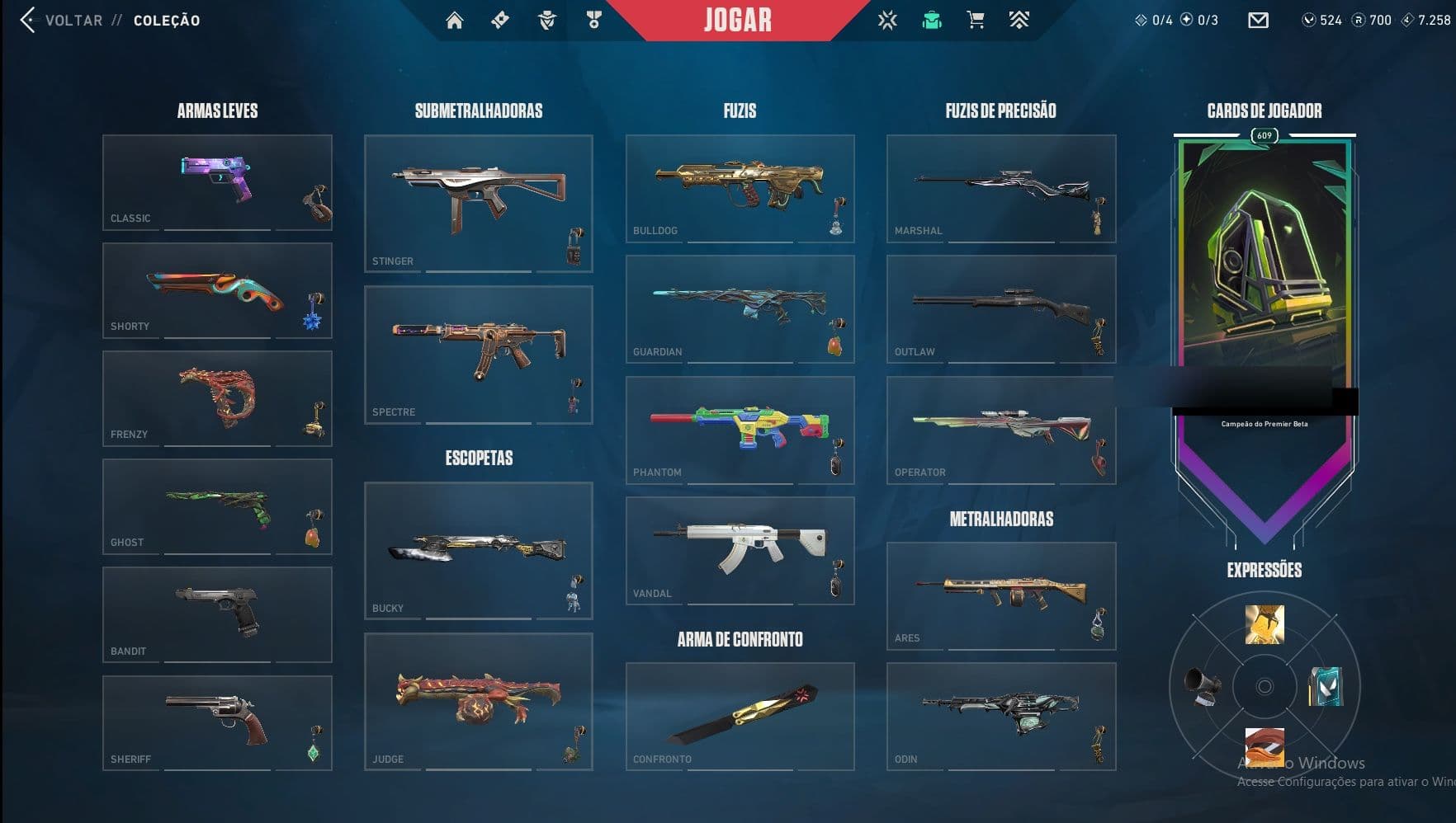 PC | Ascendant Peak | Champions 2022 Butterfly Knife + Phantom | 10 Skins | Full Email
