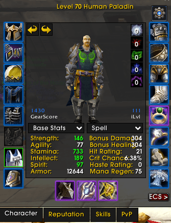 70 Human Paladin | Fake Name | 100% Riding / 60% Flying | 5/5 Righteous Set | Max Herb + Skinning | All Heroics Attuned - Image 1